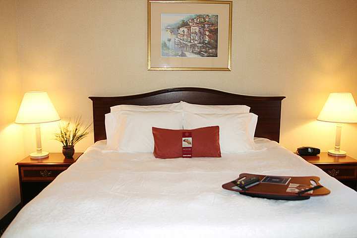 Hampton Inn & Suites Cleveland-Southeast-Streetsboro Rum bild
